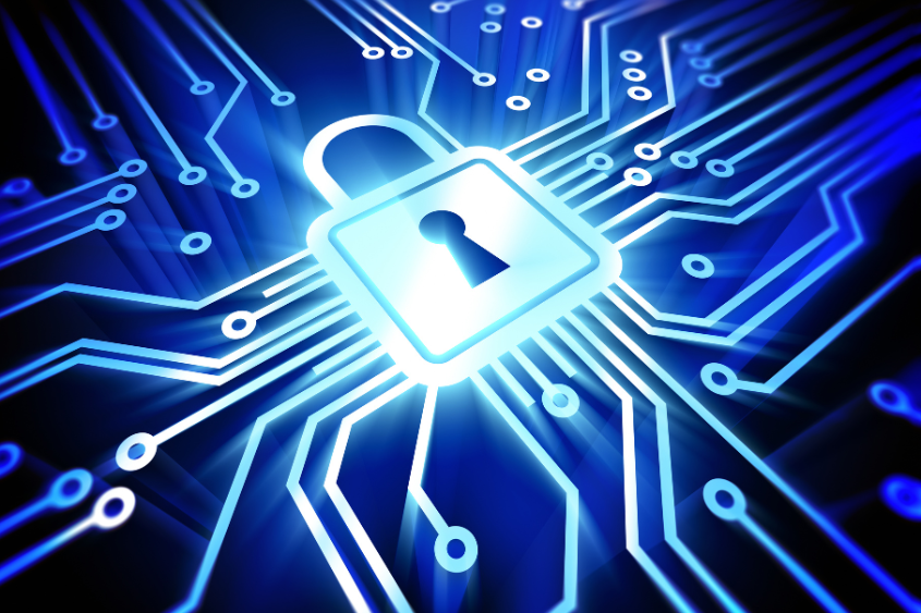 How a Professional Cyber Security Company Can Prevent Data Breaches