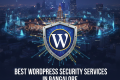 Best WordPress Security Services in Bangalore – What to Look For?