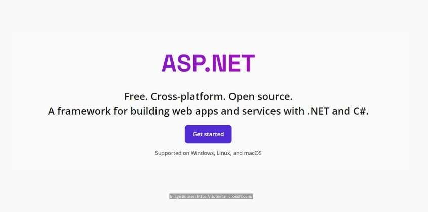 ASP.NET Development | Types of Web App Development Platforms